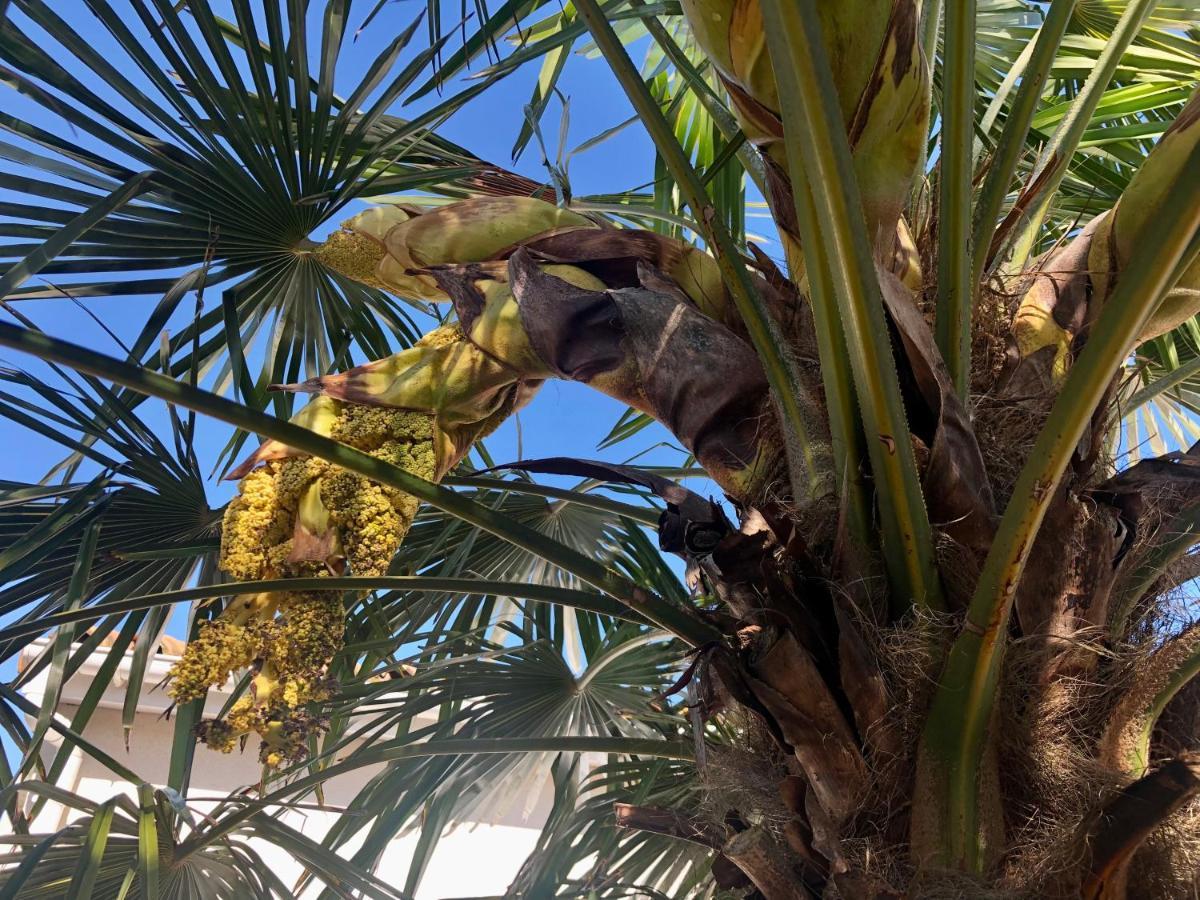 Le Rendez Vous Des Vacances Fouras Bagian luar foto